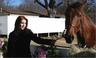 Memphis Flyer | Priscilla’s Pony
