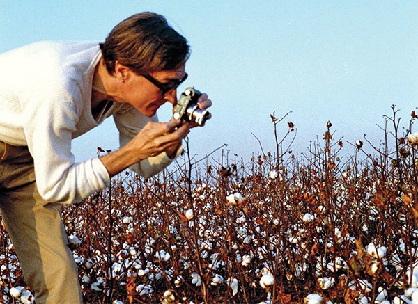 william eggleston photography gallery